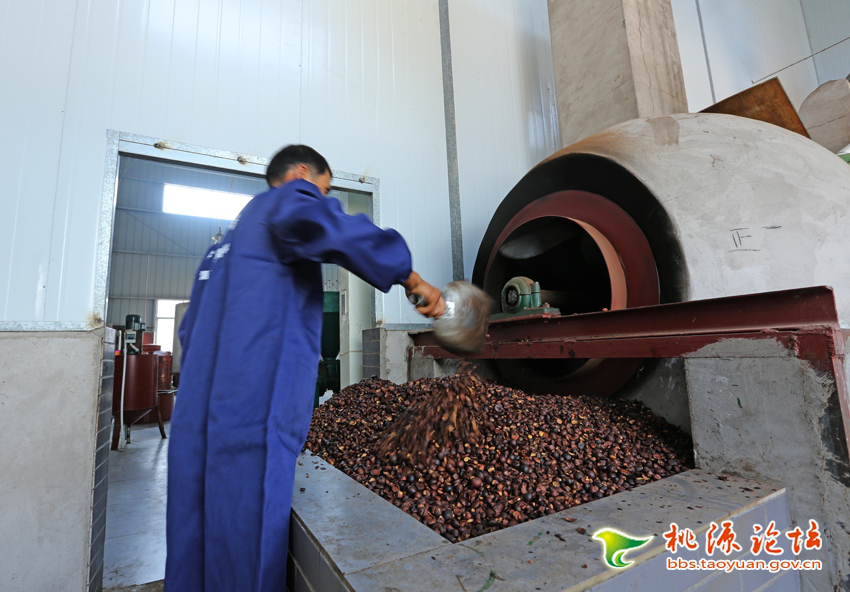 乐天堂fun88,油茶种植出产加工销售,植物油种植出产加工销售