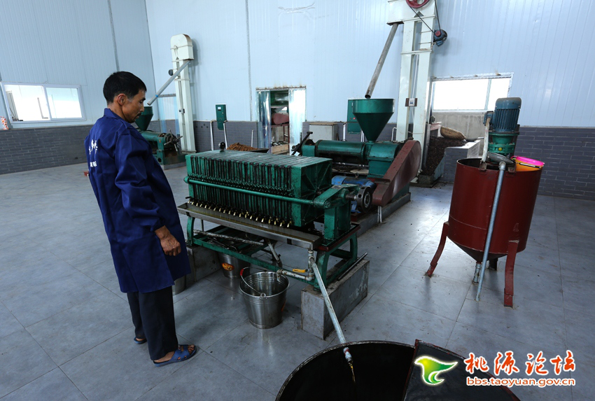 乐天堂fun88,油茶种植出产加工销售,植物油种植出产加工销售