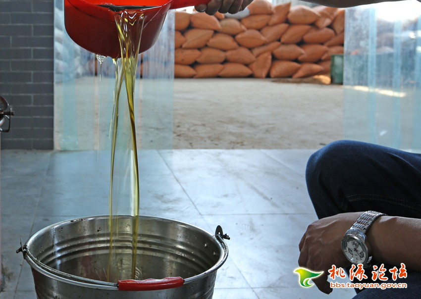 乐天堂fun88,油茶种植出产加工销售,植物油种植出产加工销售