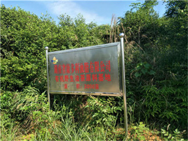 乐天堂fun88,油茶种植出产加工销售,植物油种植出产加工销售